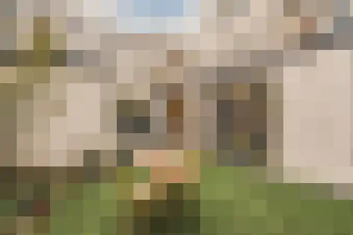 Linnaeusparkweg 146 H Amsterdam thumbnail 39