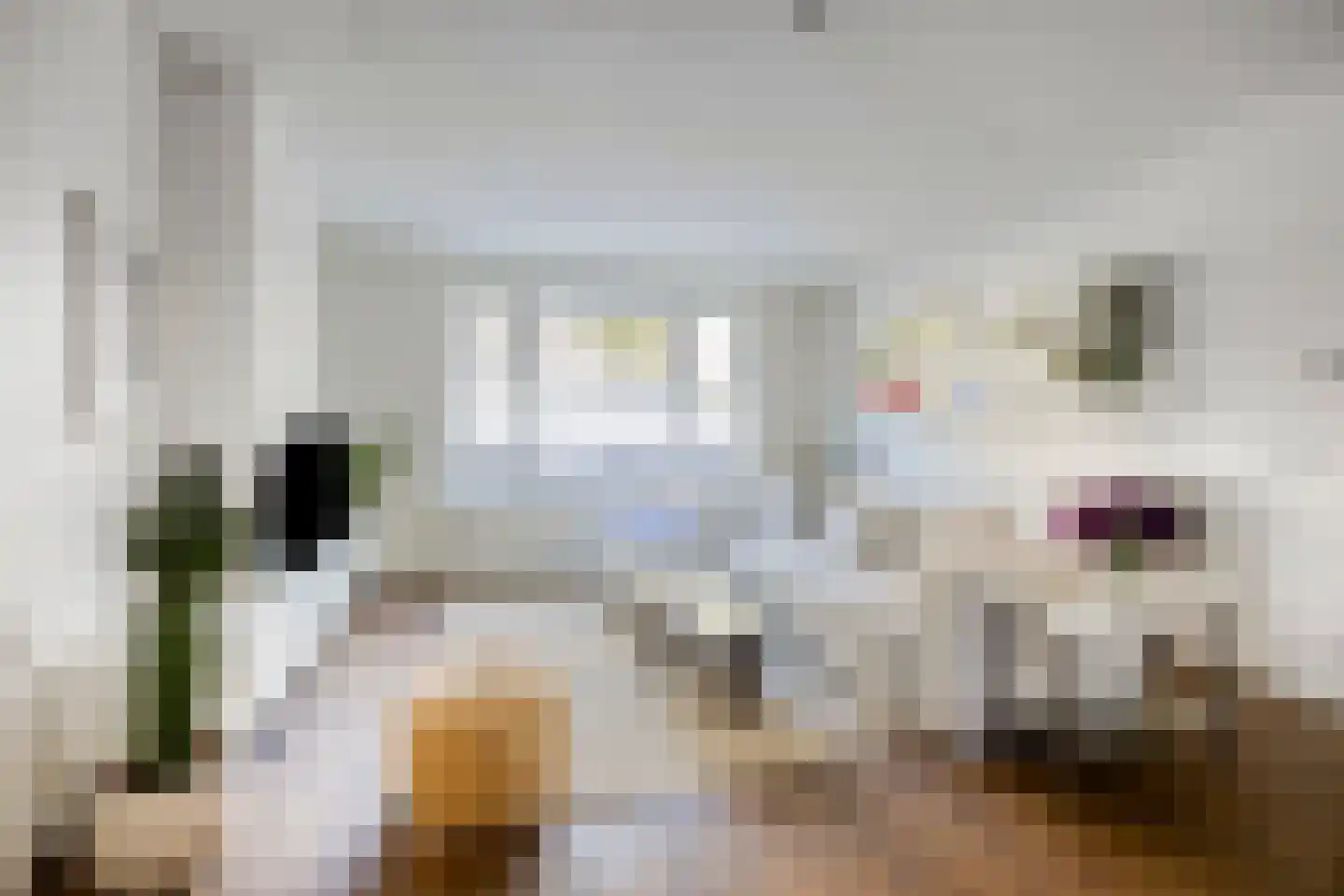 Linnaeusparkweg 158 Amsterdam thumbnail 12
