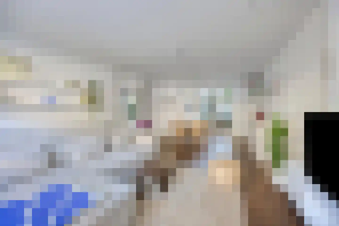 Linnaeusparkweg 158 Amsterdam thumbnail 13