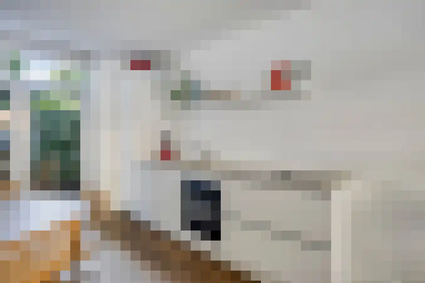Linnaeusparkweg 158 Amsterdam thumbnail 15