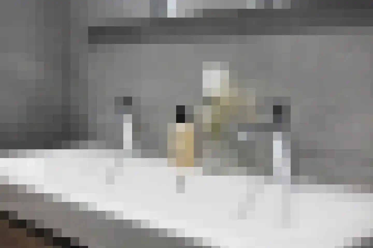 Linnaeusparkweg 158 Amsterdam thumbnail 28