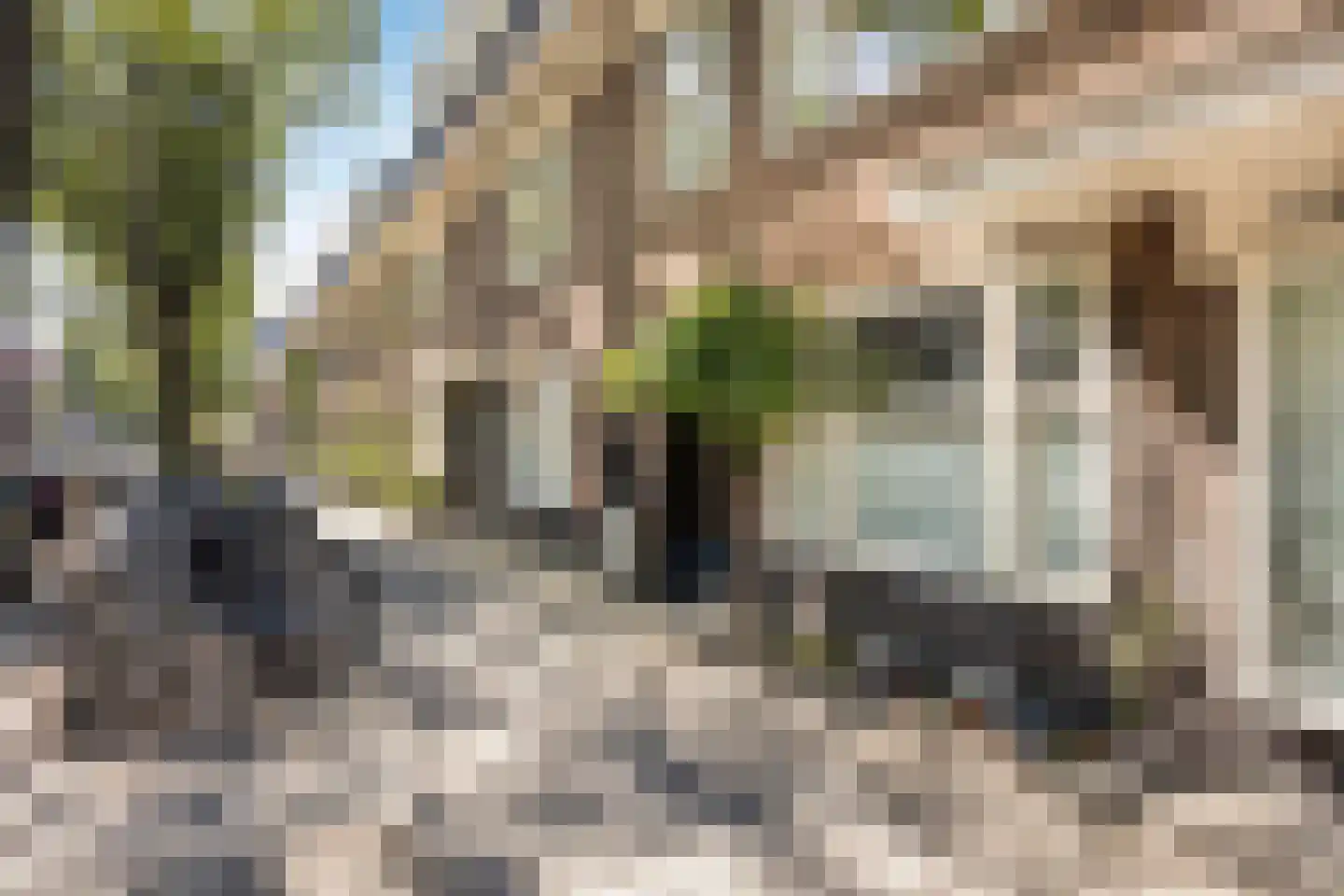 Linnaeusparkweg 158 Amsterdam thumbnail 6