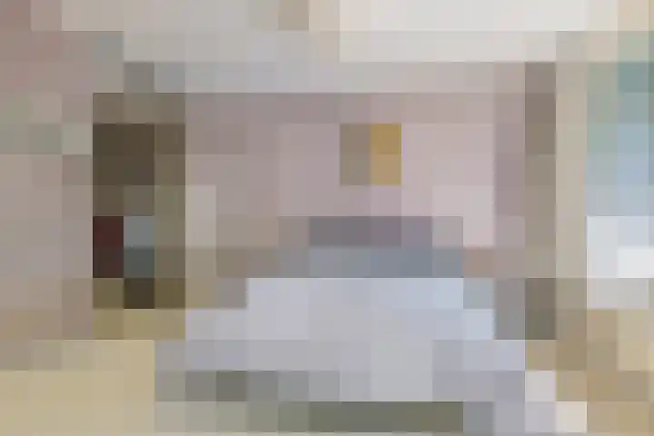 Linnaeusparkweg 18 B Amsterdam thumbnail 17