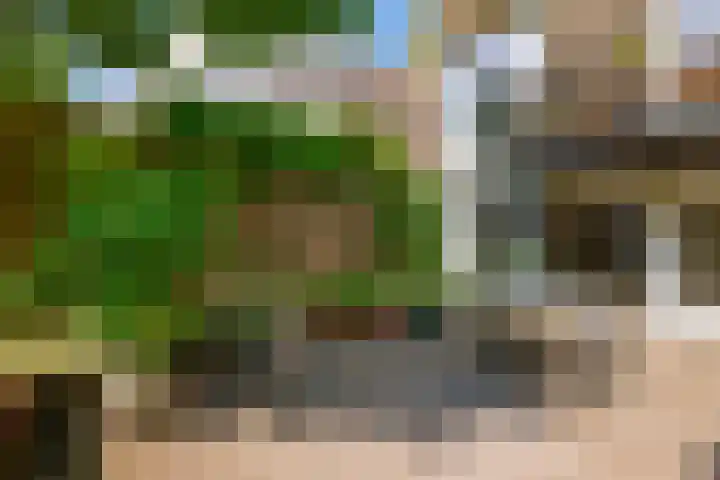 Linnaeusparkweg 18 B Amsterdam thumbnail 8