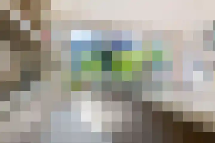 Linnaeusparkweg 18 B Amsterdam thumbnail 9