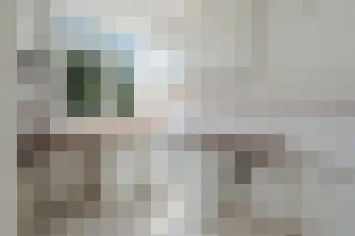 Linnaeusparkweg 184 H Amsterdam thumbnail 8
