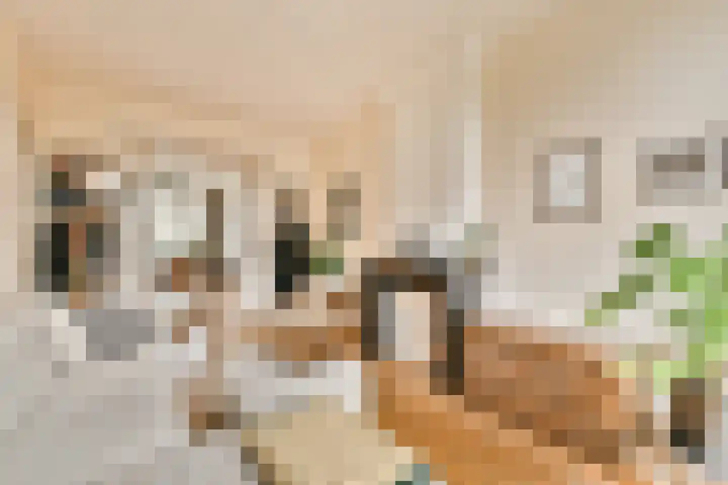 Linnaeusparkweg 19 1 Amsterdam thumbnail 6
