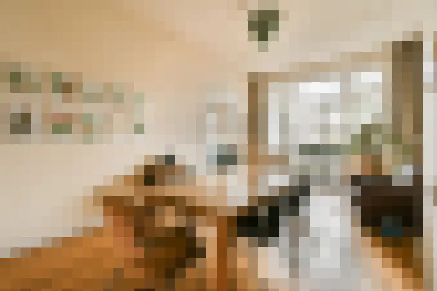 Linnaeusparkweg 19 1 Amsterdam thumbnail 8