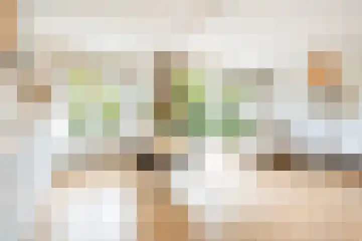 Linnaeusparkweg 238 2 Amsterdam