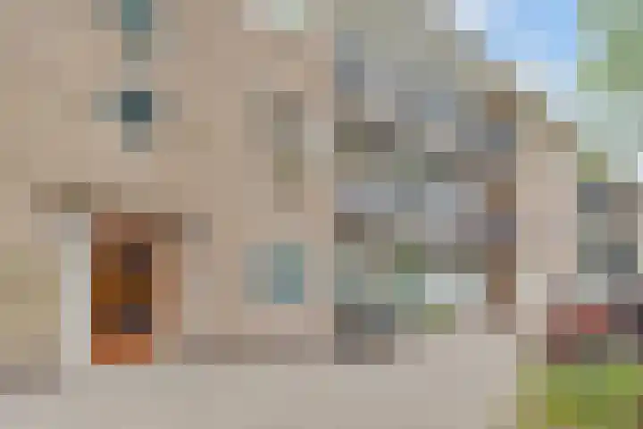 Linnaeusparkweg 240 H Amsterdam thumbnail 28