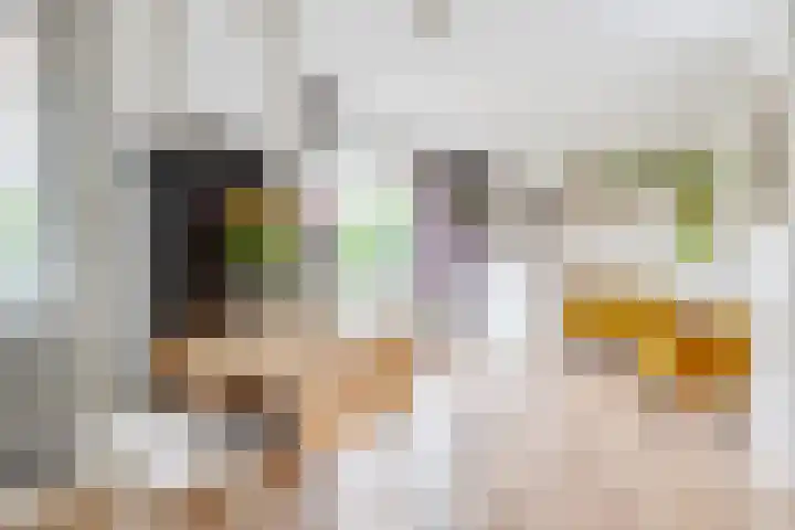 Linnaeusparkweg 240 H Amsterdam thumbnail 6