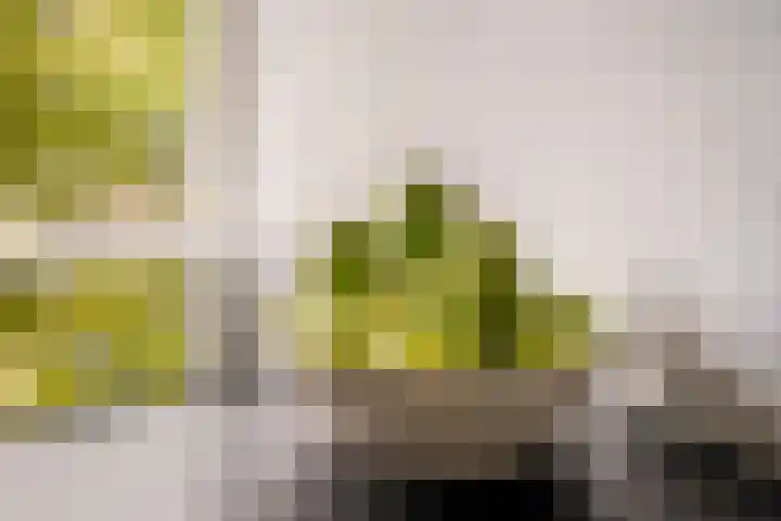 Linnaeusparkweg 250 1 Amsterdam thumbnail 21