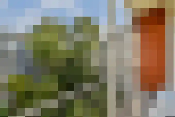 Linnaeusparkweg 29 H Amsterdam thumbnail 17