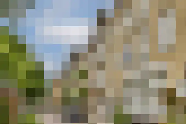 Linnaeusparkweg 29 H Amsterdam thumbnail 21