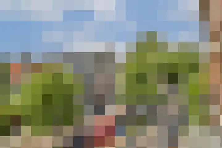 Linnaeusparkweg 29 H Amsterdam thumbnail 8