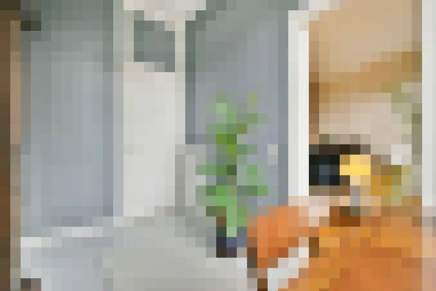Linnaeusparkweg 40 2 Amsterdam thumbnail 19
