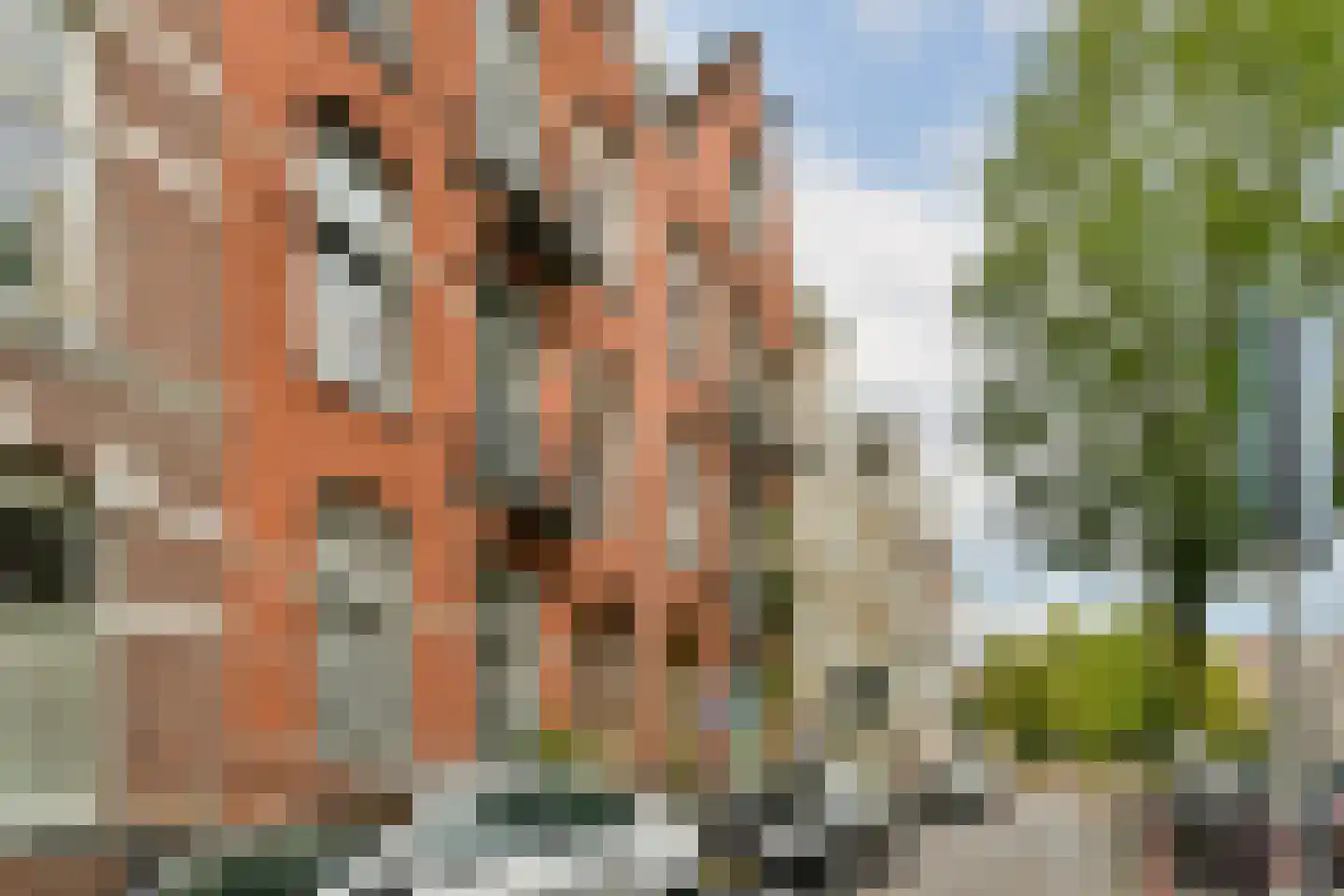 Linnaeusparkweg 40 2 Amsterdam thumbnail 35