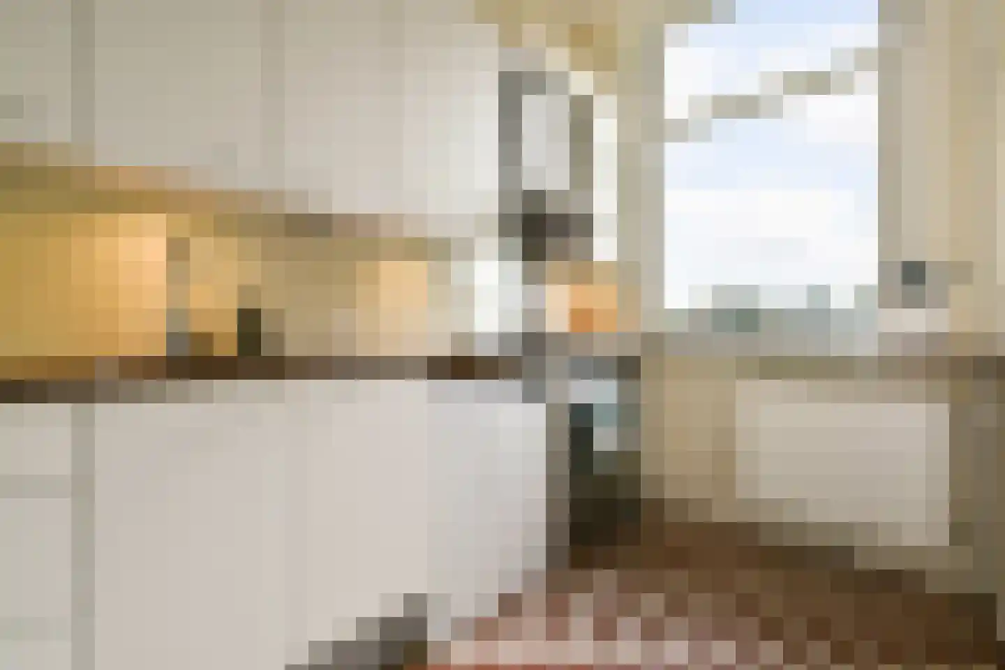 Linnaeusparkweg 40 2 Amsterdam thumbnail 6