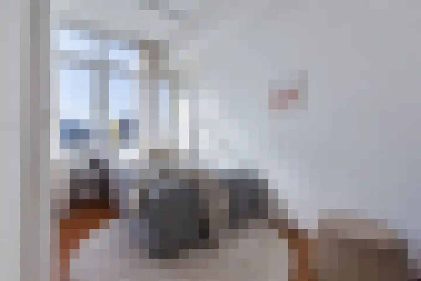 Linnaeusparkweg 54 H Amsterdam thumbnail 16