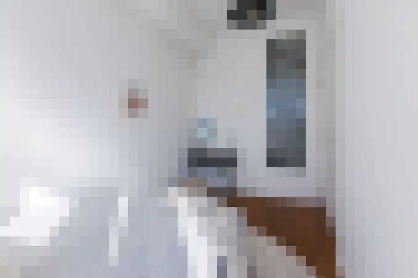 Linnaeusparkweg 54 H Amsterdam thumbnail 17