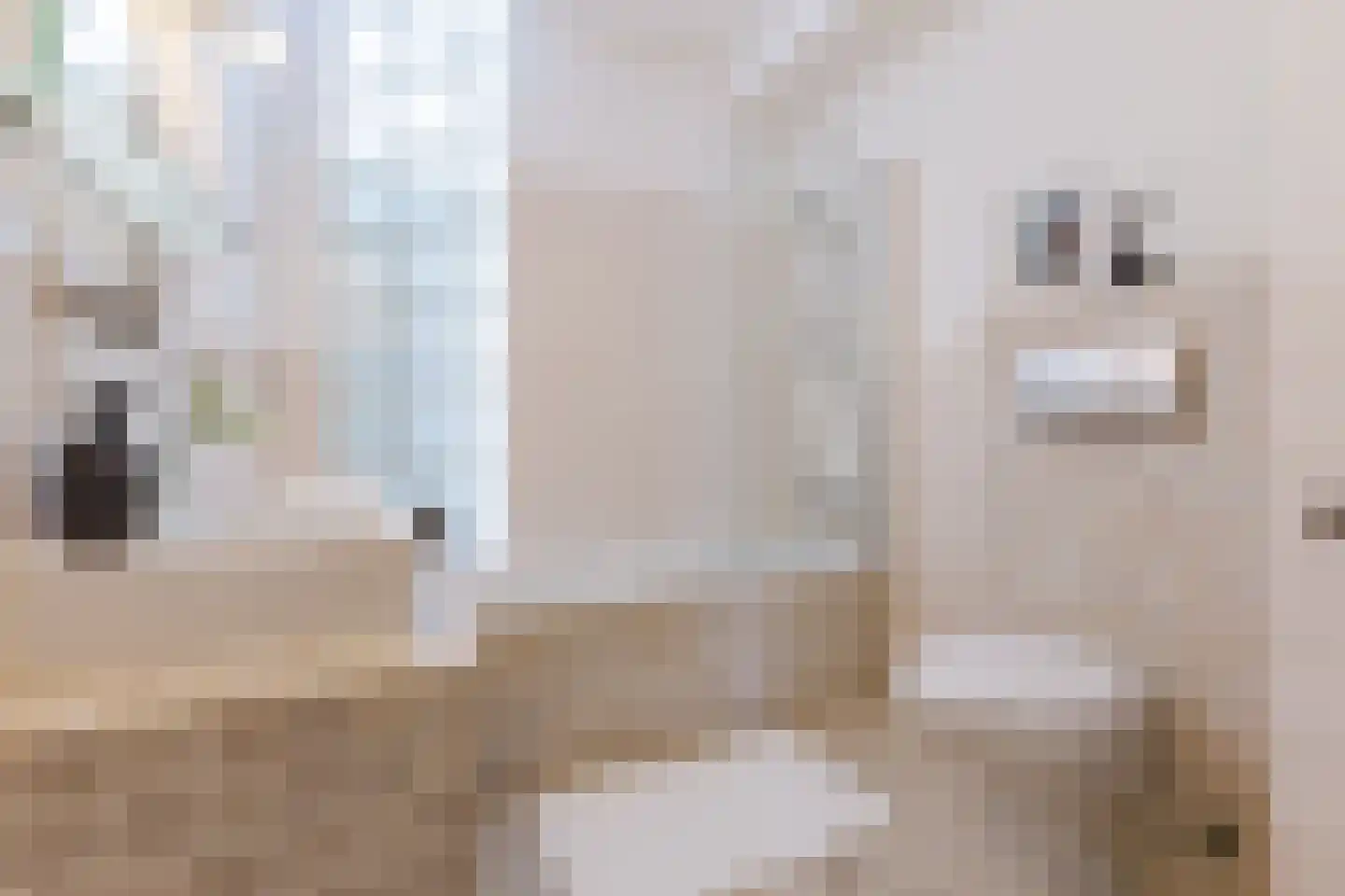 Linnaeusparkweg 54 H Amsterdam thumbnail 18