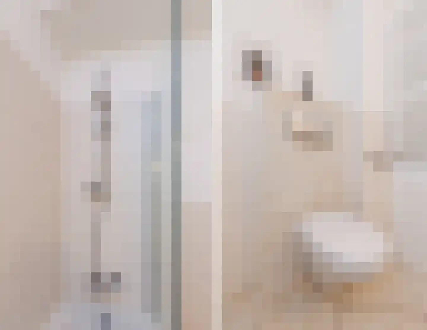 Linnaeusparkweg 54 H Amsterdam thumbnail 19
