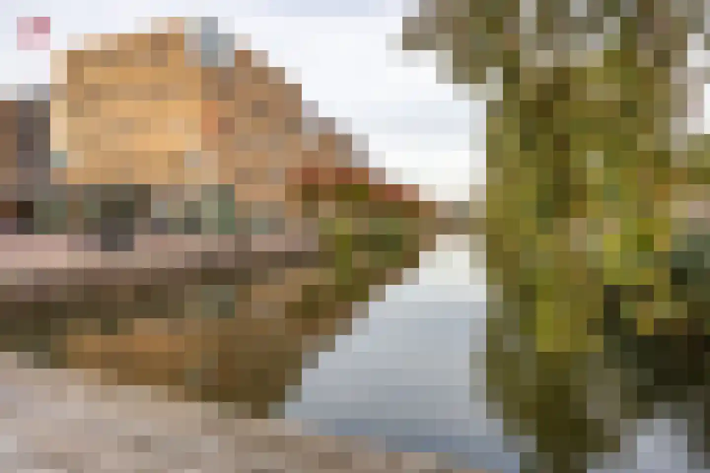 Linnaeusparkweg 54 H Amsterdam thumbnail 33