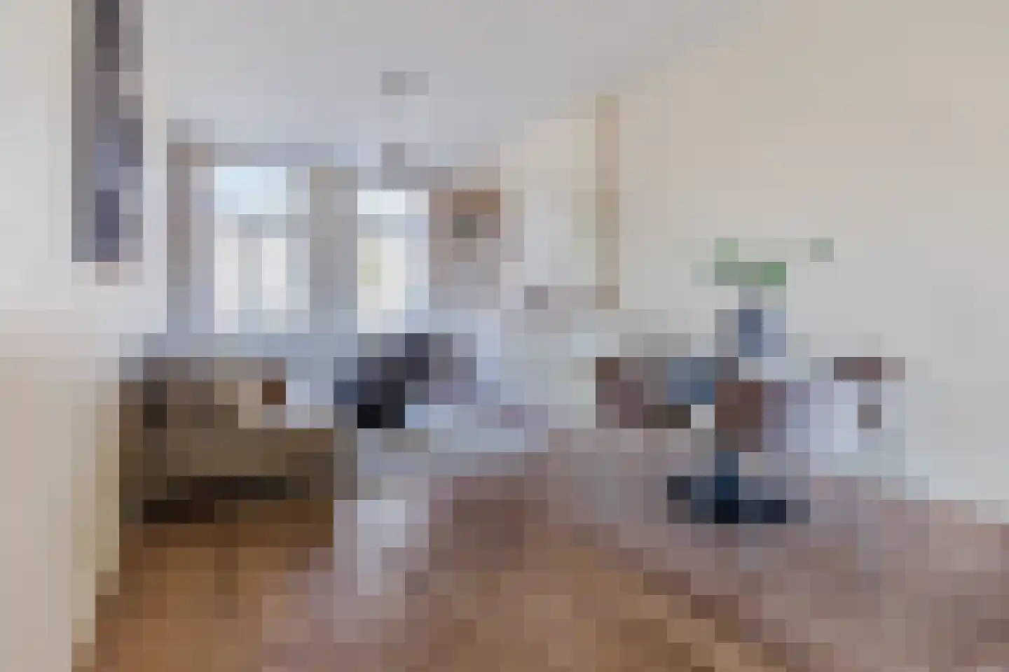 Linnaeusparkweg 54 H Amsterdam thumbnail 4
