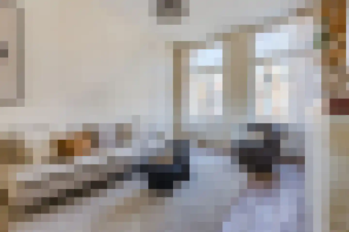 Linnaeusparkweg 54 H Amsterdam thumbnail 5