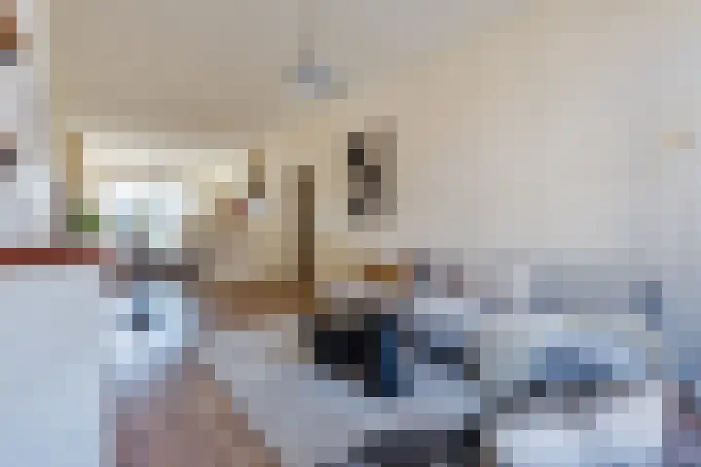 Linnaeusparkweg 54 H Amsterdam thumbnail 6