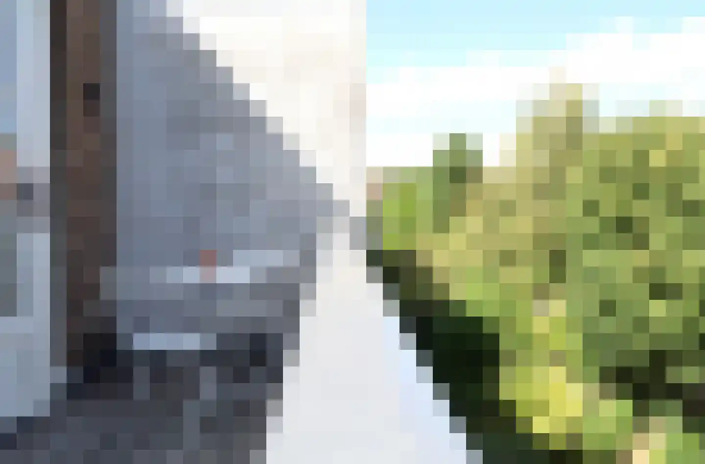 Linnaeusparkweg 59 A Amsterdam thumbnail 33