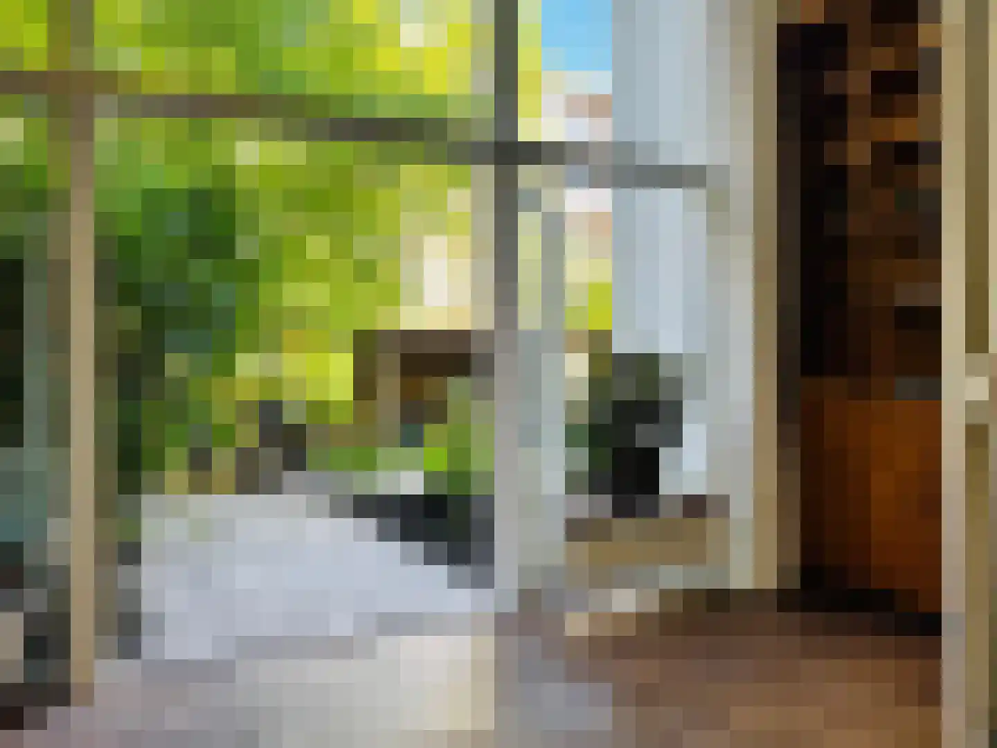 Linnaeusparkweg 7 A Amsterdam thumbnail 12