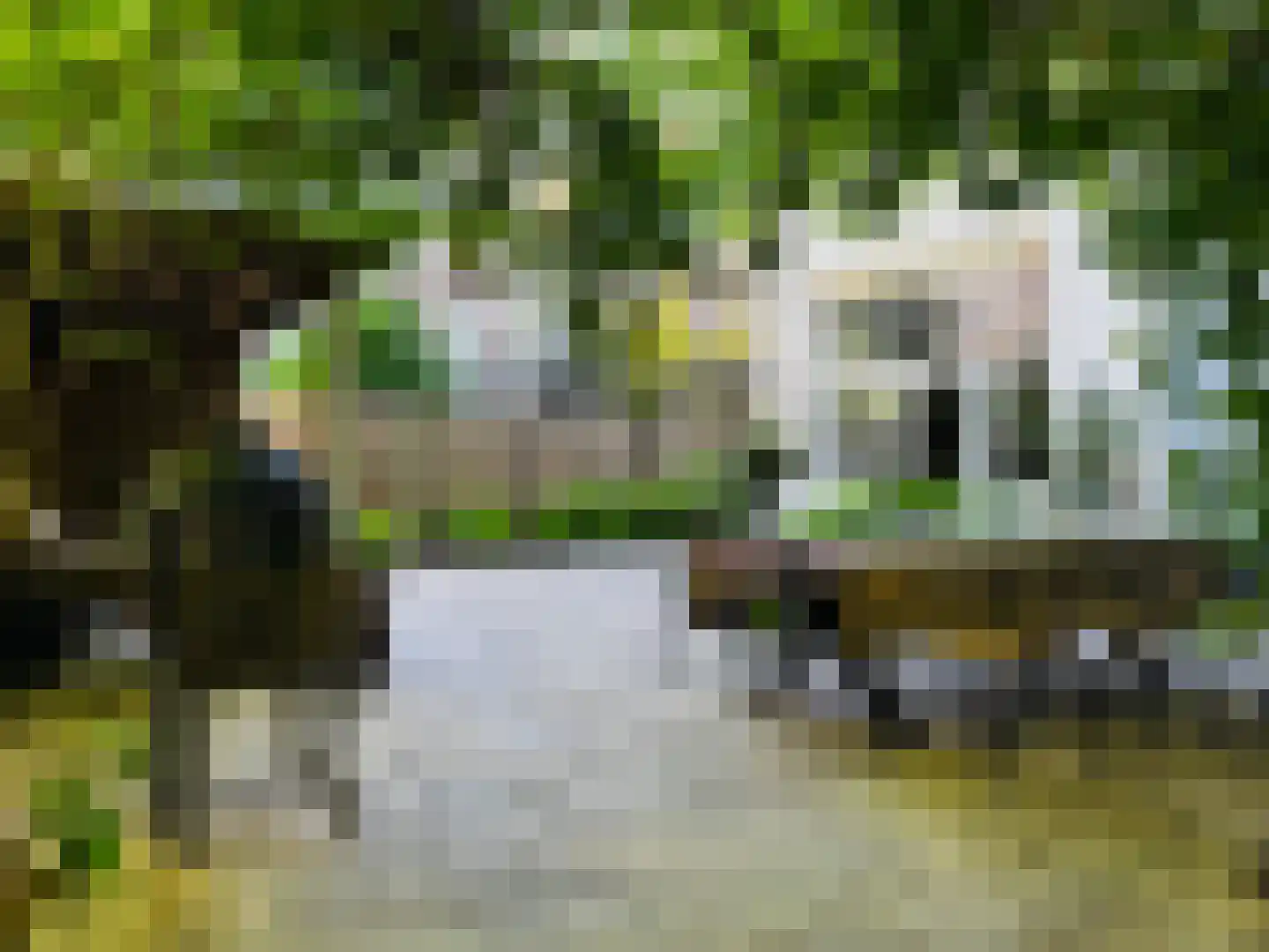 Linnaeusparkweg 7 A Amsterdam thumbnail 22
