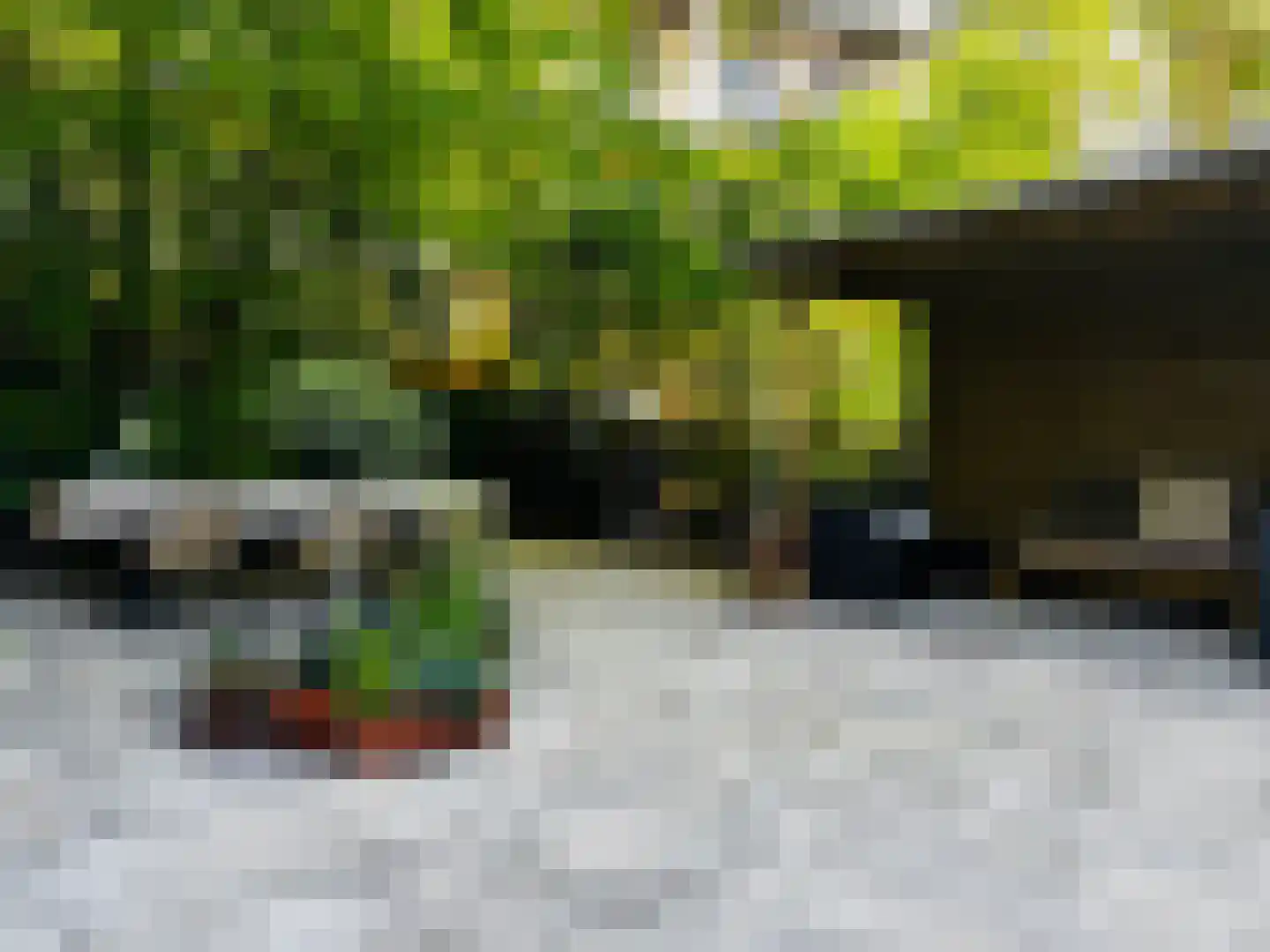 Linnaeusparkweg 7 A Amsterdam thumbnail 27
