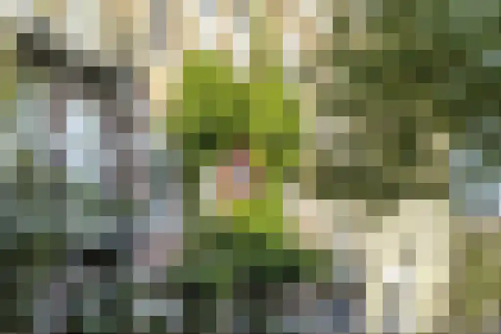 Linnaeusparkweg 7 A Amsterdam thumbnail 65