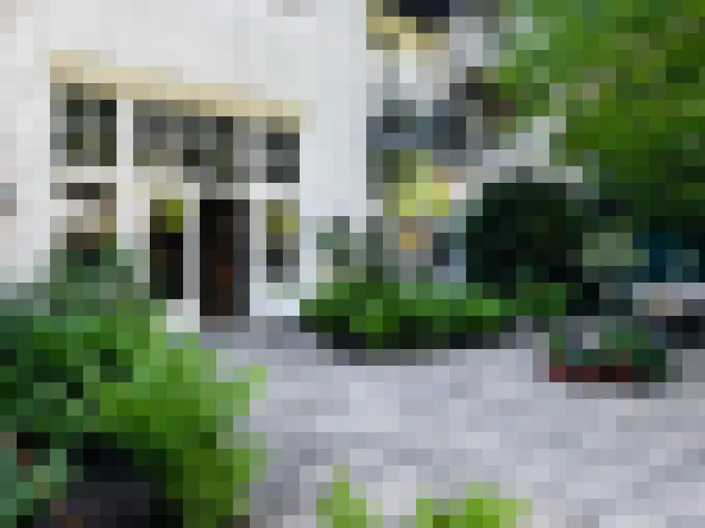 Linnaeusparkweg 7 D Amsterdam thumbnail 25