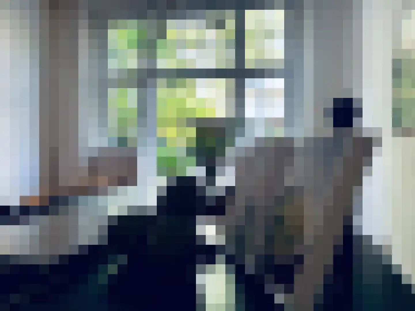 Linnaeusparkweg 7 D Amsterdam thumbnail 36