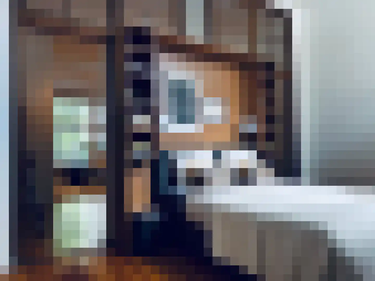 Linnaeusparkweg 7 D Amsterdam thumbnail 42