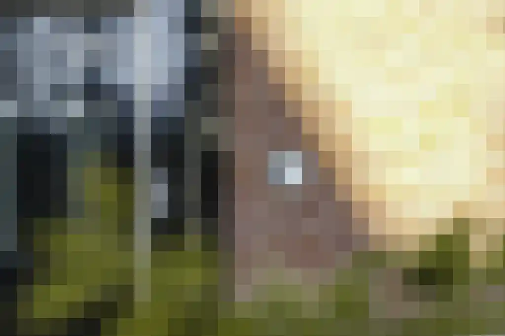 Linnaeusparkweg 7 D Amsterdam thumbnail 59
