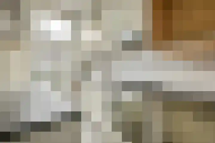 Linnaeusparkweg 72 1 Amsterdam thumbnail 17