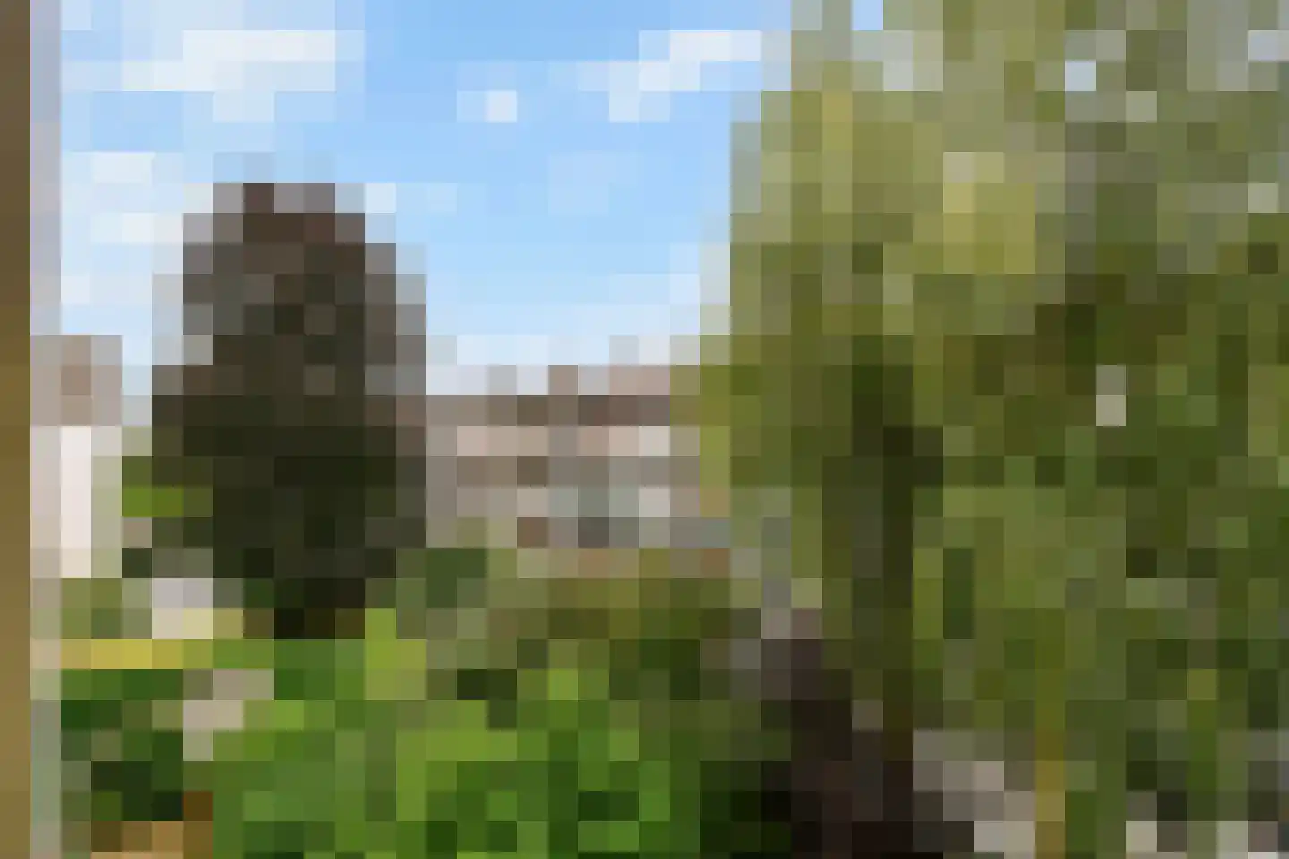 Linnaeusparkweg 72 2 Amsterdam thumbnail 16