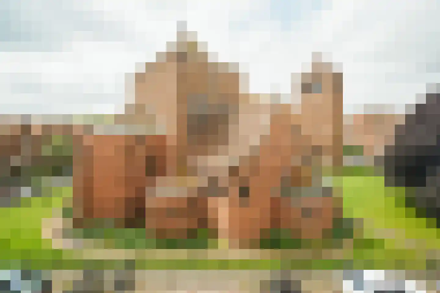 Linnaeusparkweg 72 2 Amsterdam thumbnail 29