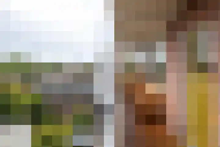 Linnaeusplein 15 Groningen thumbnail 12