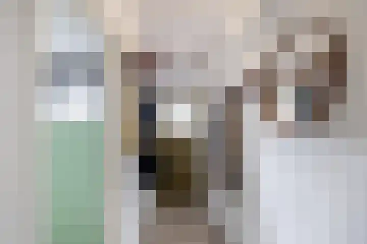 Linnaeusplein 15 Groningen thumbnail 13