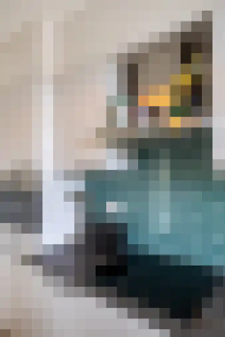 Linnaeusplein 15 Groningen thumbnail 16