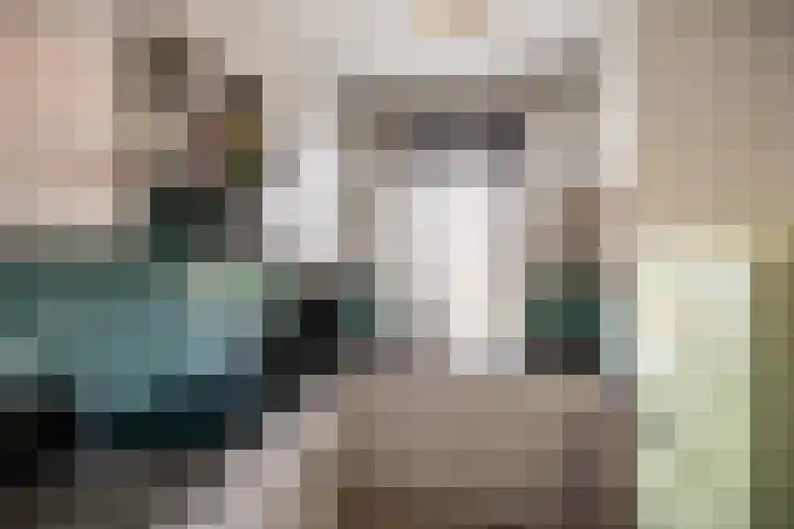 Linnaeusplein 15 Groningen thumbnail 17