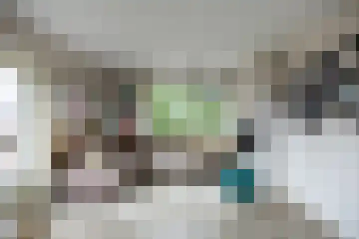 Linnaeusplein 15 Groningen thumbnail 23