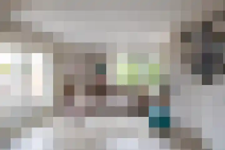 Linnaeusplein 15 Groningen thumbnail 24
