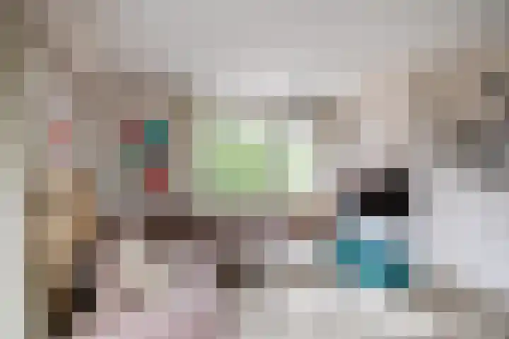 Linnaeusplein 15 Groningen thumbnail 25