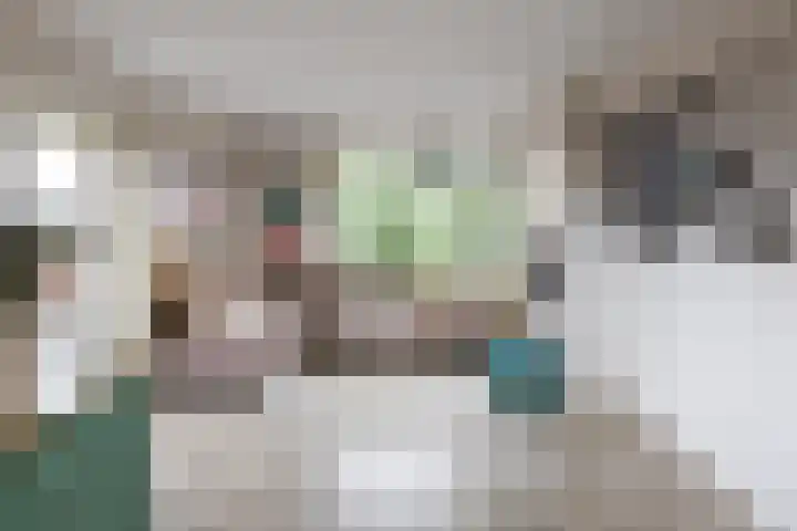 Linnaeusplein 15 Groningen thumbnail 27